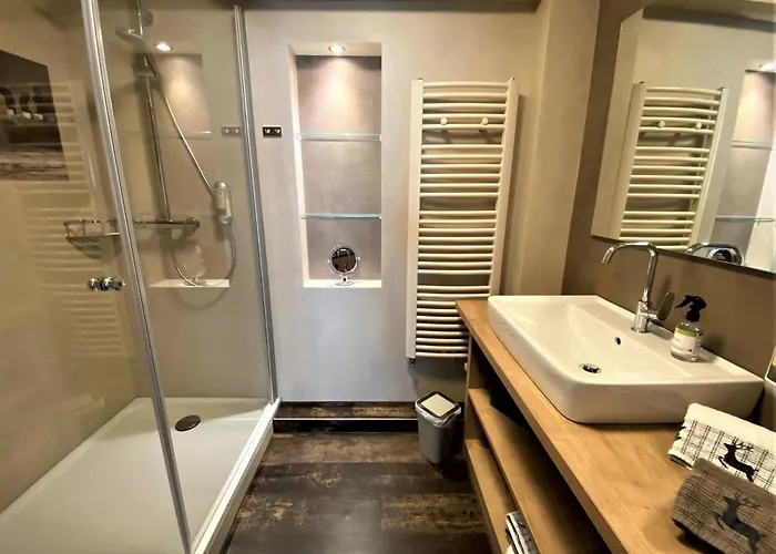 Naturboutique Rauszeit 4* Willingen (Upland)